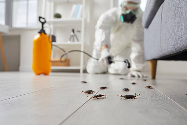 Commercial Kitchen Cockroach Control in Vander